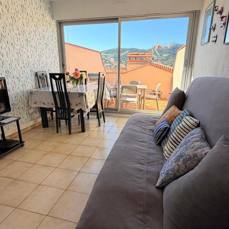 BANYULS-SUR-MER, studio avec terrasse, proche plage - FR-1-309-323 - Studio - 7