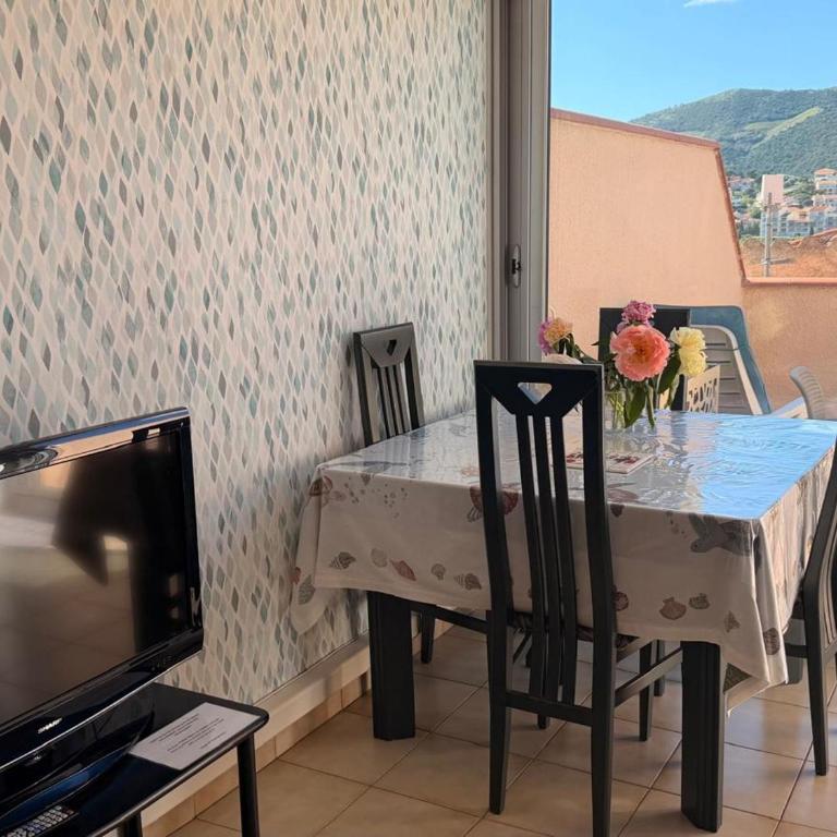 BANYULS-SUR-MER, studio avec terrasse, proche plage - FR-1-309-323 - Studio - 10