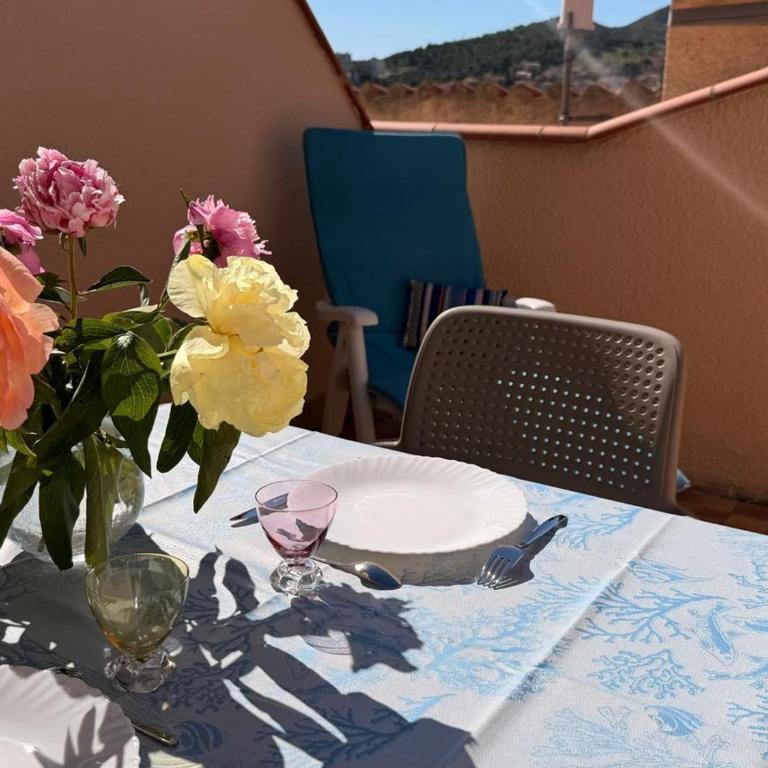 BANYULS-SUR-MER, studio avec terrasse, proche plage - FR-1-309-323 - Studio - 12