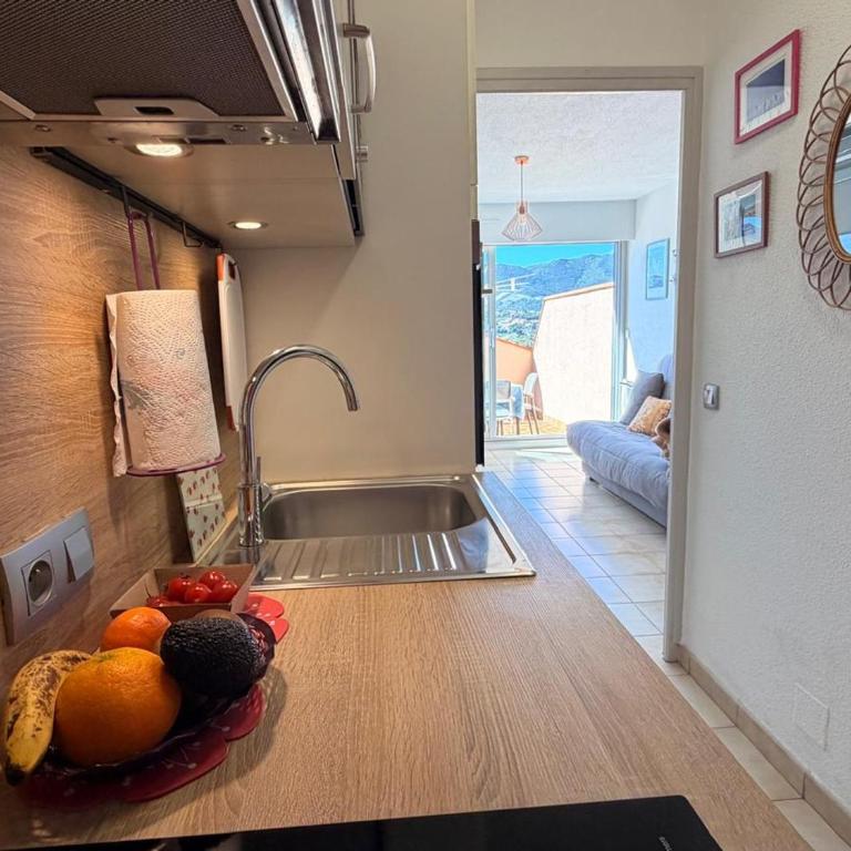 BANYULS-SUR-MER, studio avec terrasse, proche plage - FR-1-309-323 - Studio - 19