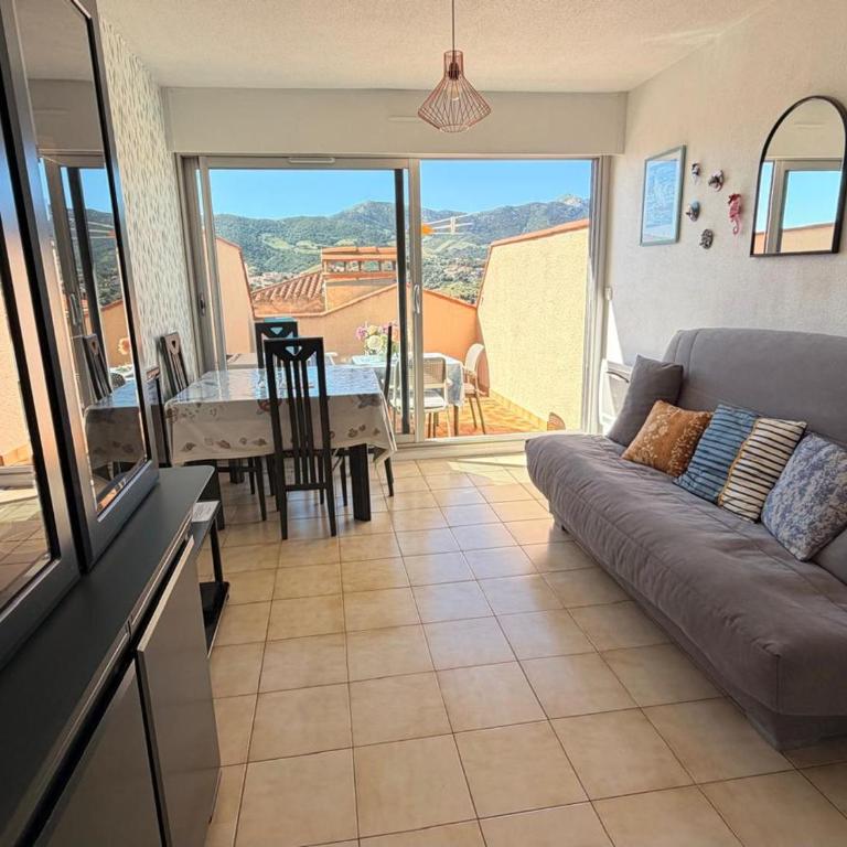 BANYULS-SUR-MER, studio avec terrasse, proche plage - FR-1-309-323 - Studio - 20