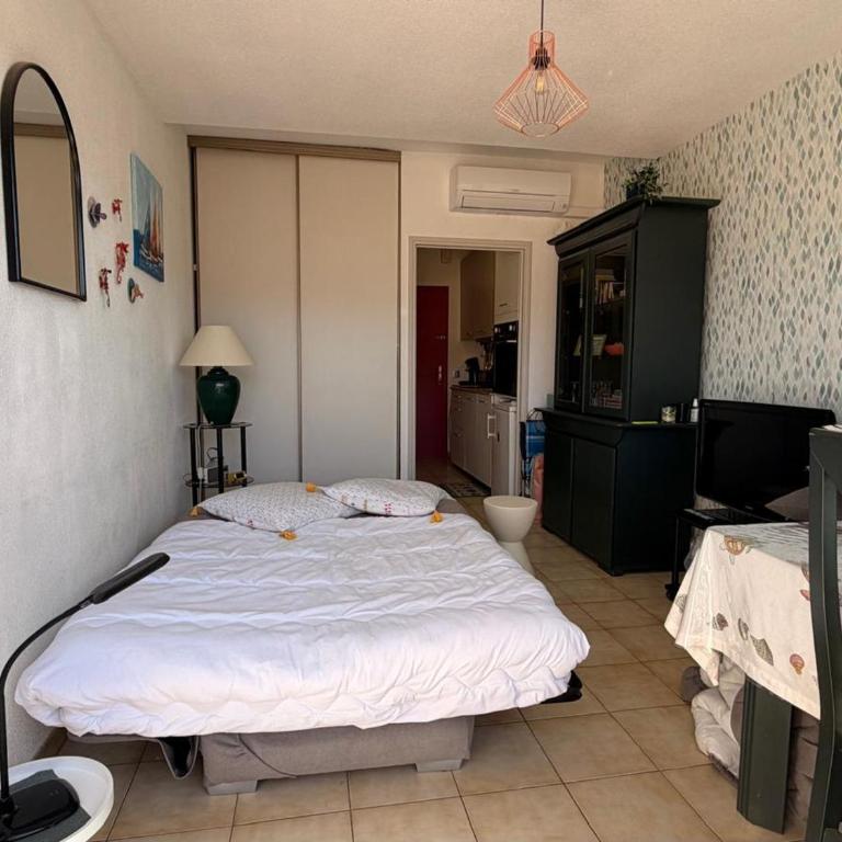 BANYULS-SUR-MER, studio avec terrasse, proche plage - FR-1-309-323 - Studio - 23