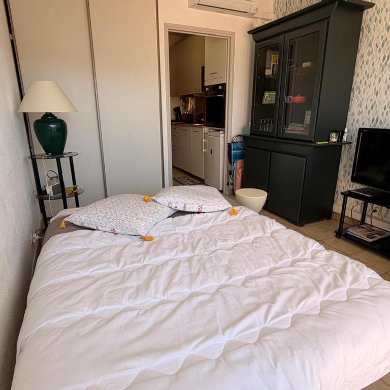 BANYULS-SUR-MER, studio avec terrasse, proche plage - FR-1-309-323 - Studio - 24