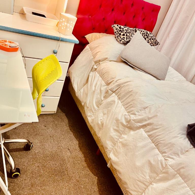 Roomies para viajeros ! Homestay ! - Single Room - 11