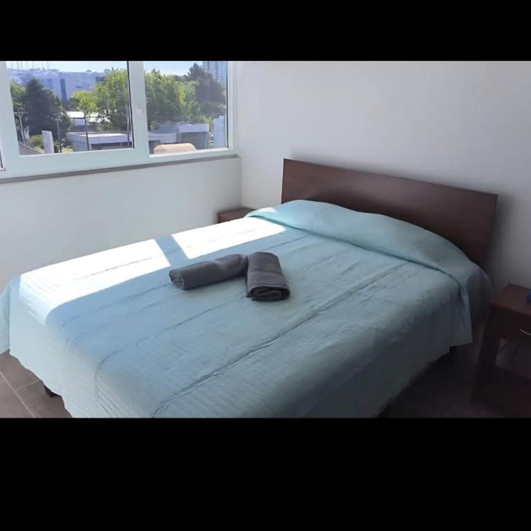 Departamento Centro de puerto montt - Apartamento de 3 dormitorios - 7