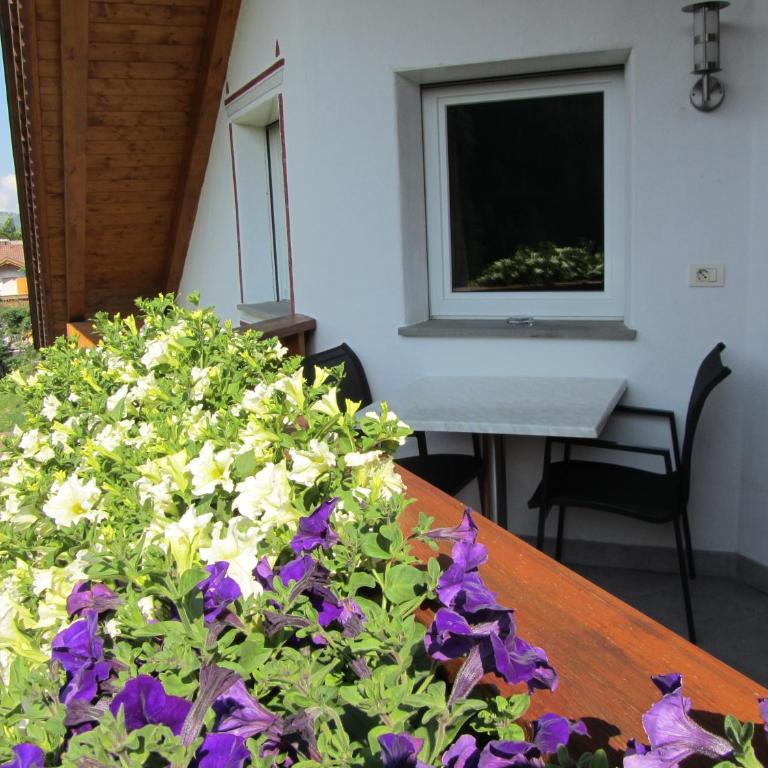 Apartments Dolina - Appartamento con 1 Camera da Letto e Balcone - 7