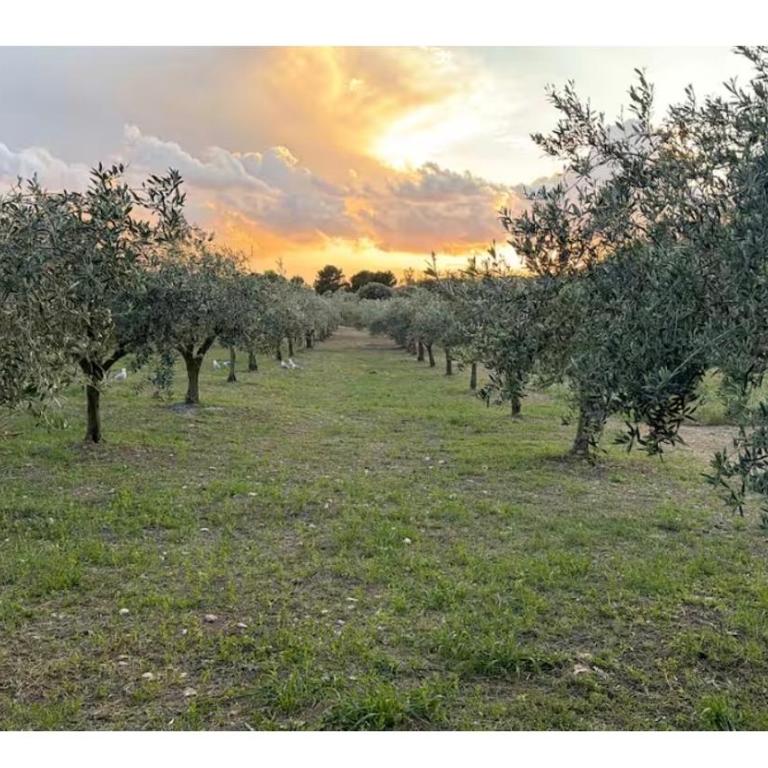 Casaulivo Setteminne At-my-place NaturaMare - Appartamento con 3 Camere da Letto - 4