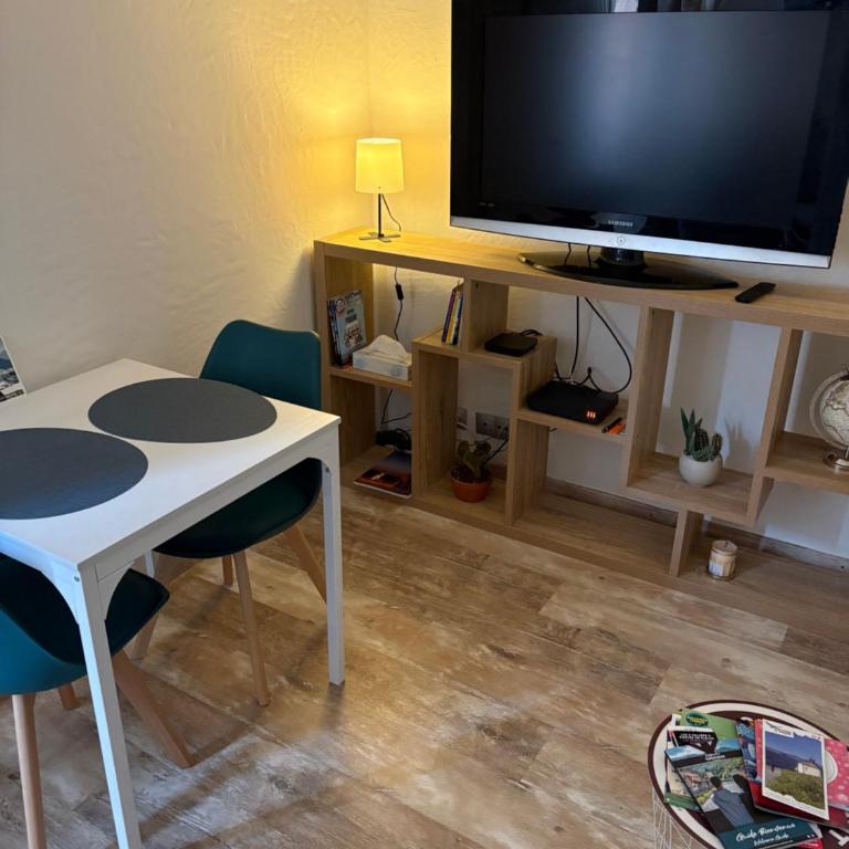 Joli appartement plein centre - Appartement 1 Chambre - 14