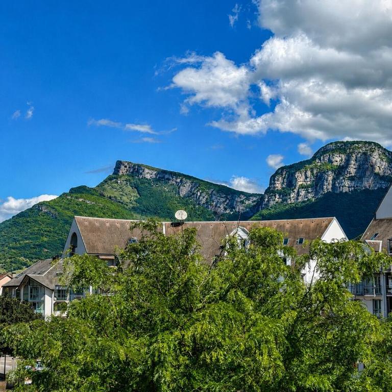 New Appart Cocon chic 2 ou 4 pers Lac et Montagne - Appartamento con 1 Camera da Letto - 2