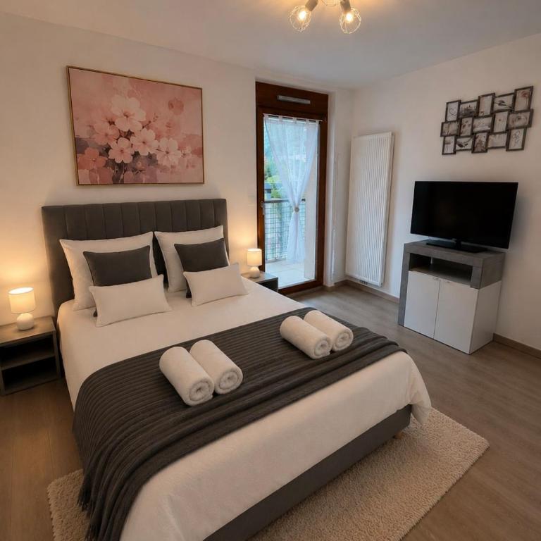 New Appart Cocon chic 2 ou 4 pers Lac et Montagne - Appartamento con 1 Camera da Letto - 10