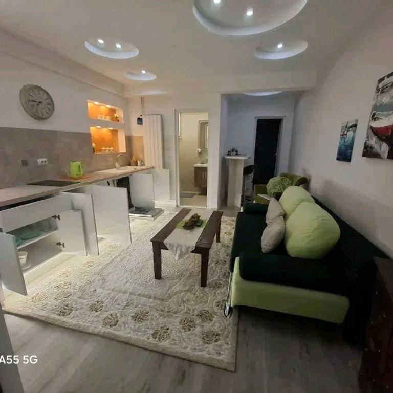 Apartman Medicana Sarajevo - Apartman sa 1 Spavaćom Sobom - 29