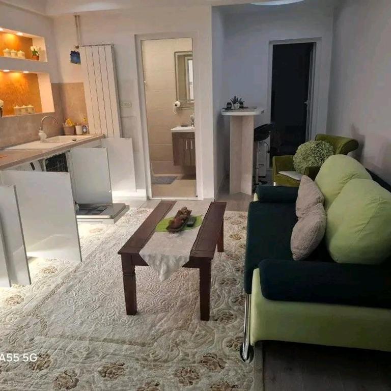 Apartman Medicana Sarajevo - Apartman sa 1 Spavaćom Sobom - 22
