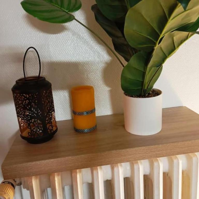 530 hypercentre ressourçant - Apartamento de 1 dormitorio - 6