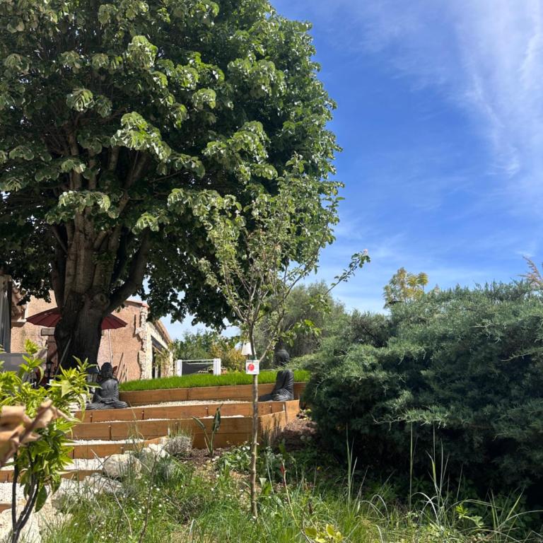 Le clos de Vence - Studio - Vue sur Piscine - 26