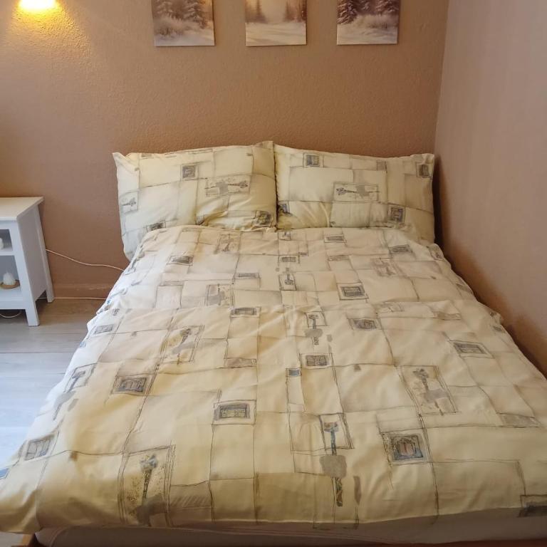Cosy Alpine Studio Thermal Bath - Apartamento de 1 dormitorio - 9