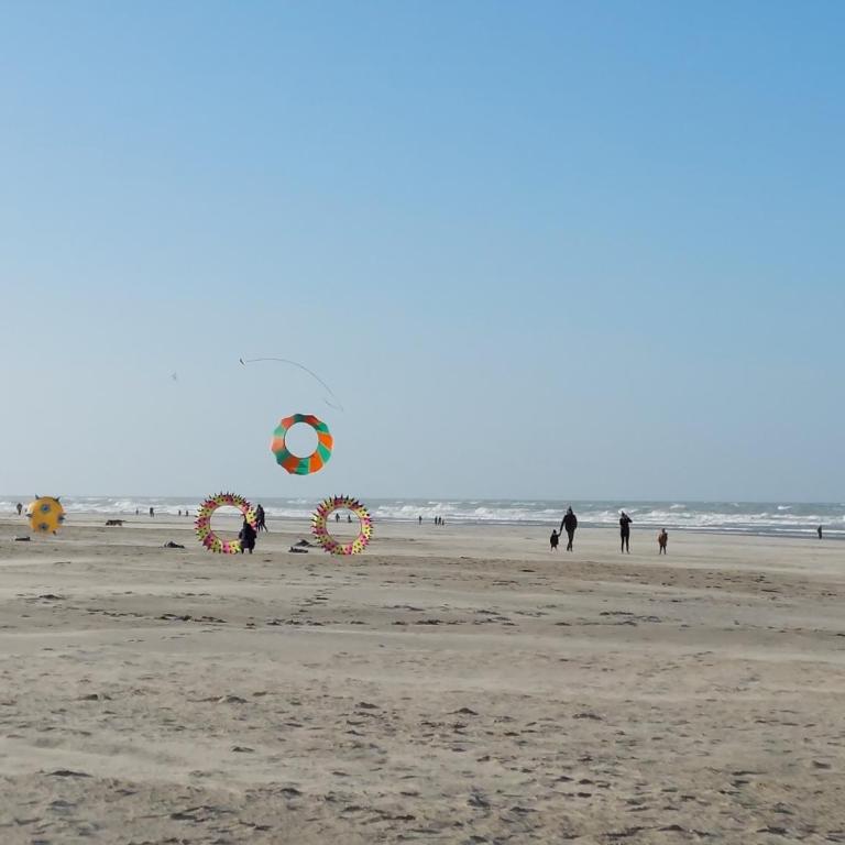 Au centre de Berck Plage, à 10 minutes de la plage - Apartamento de 2 dormitorios - 6