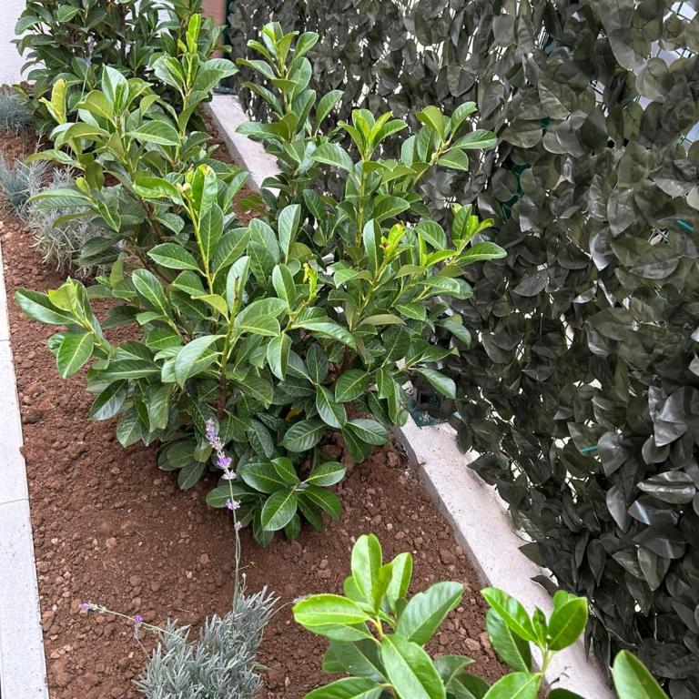 Urban Garden - Premium Apartman sa 1 Spavaćom Sobom - 48