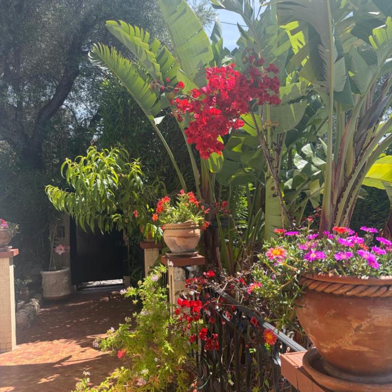 Grand Appt 6P climatisé dans villa avec piscine - 8 kms de Cannes - Appartement 2 Chambres - 21