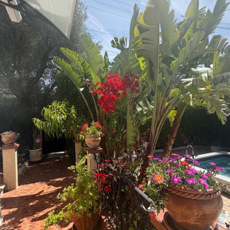 Grand Appt 6P climatisé dans villa avec piscine - 8 kms de Cannes - Appartement 2 Chambres - 20