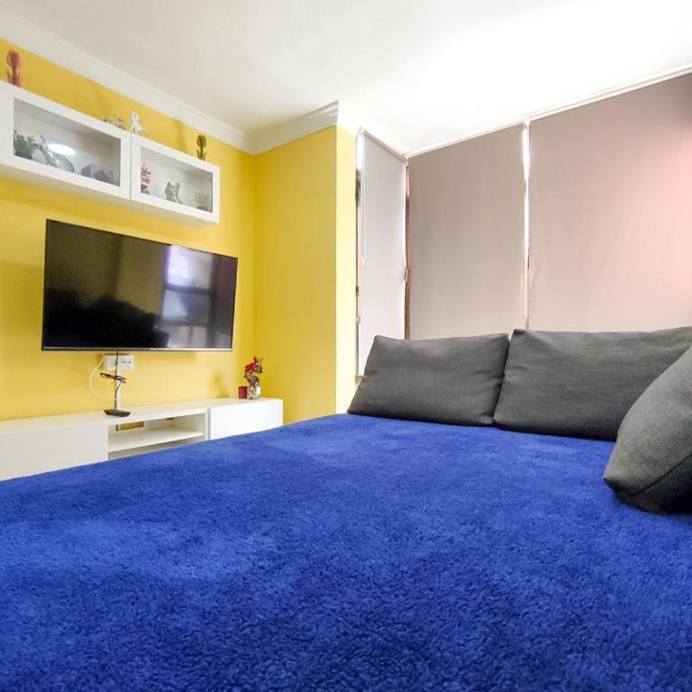 Apartamento en Calle Heraclio Sánchez - Apartamento de 1 dormitorio - 28