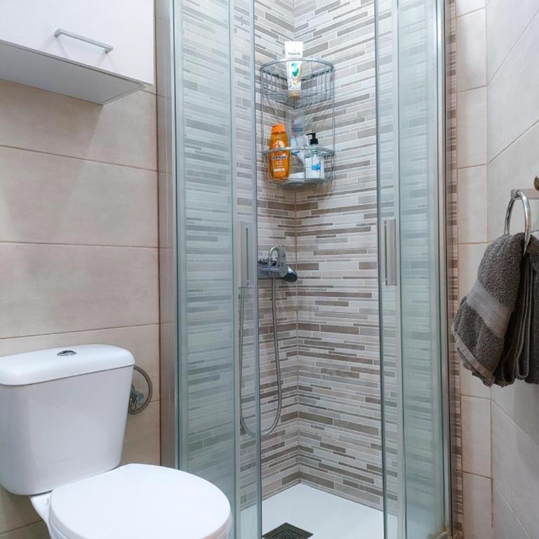 Apartamento en Calle Heraclio Sánchez - Apartamento de 1 dormitorio - 29