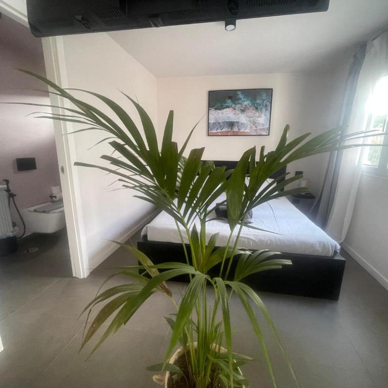 Tirma Studios - Standard Studio - 6