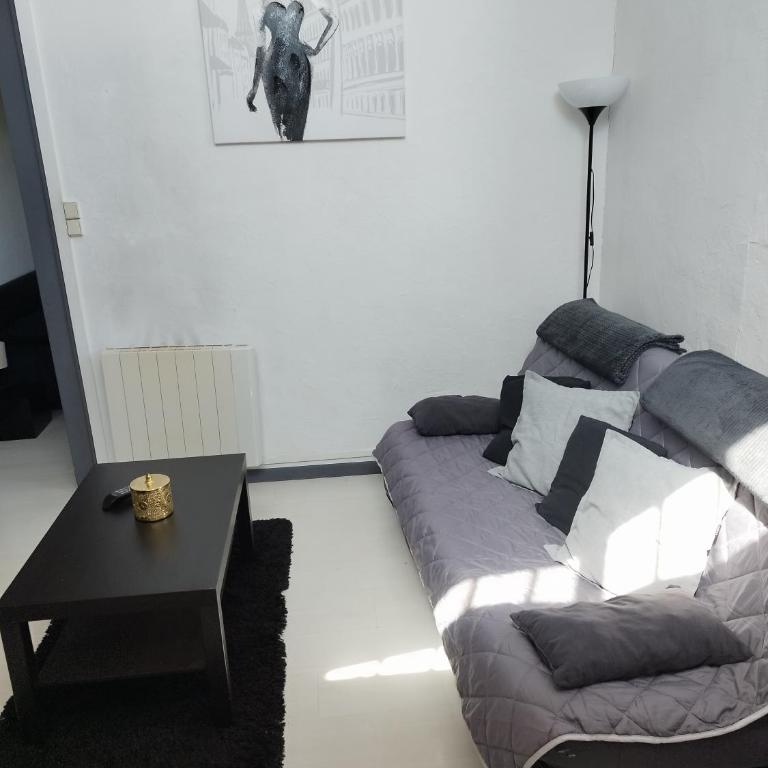 Charmant T3 au Cœur de Grenoble - Apartment mit 2 Schlafzimmern - 3