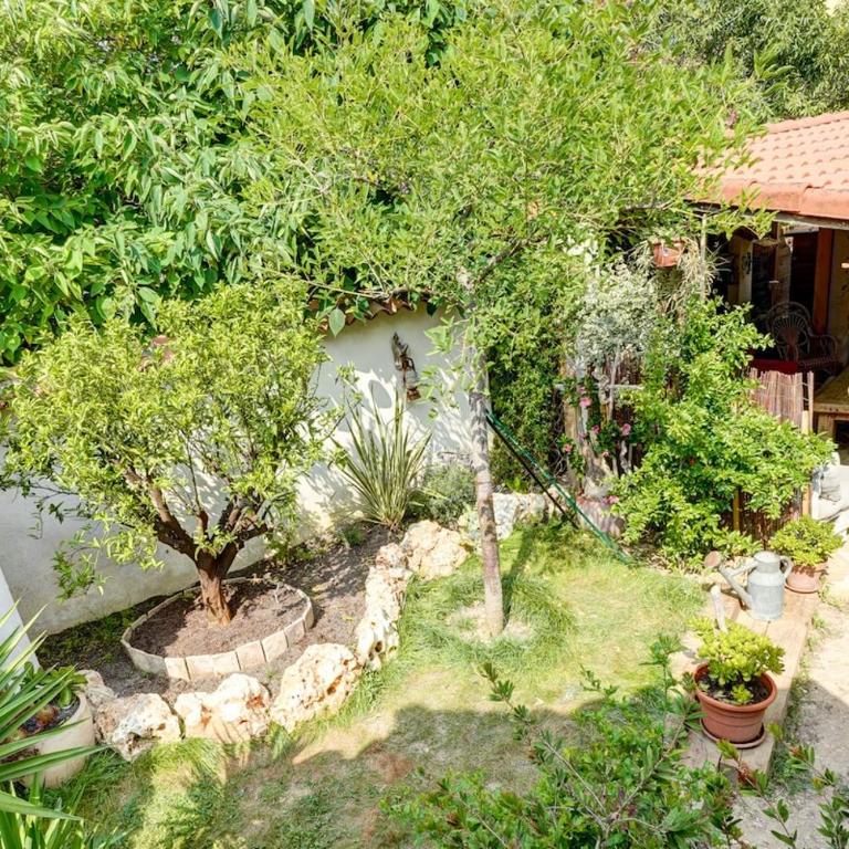 Charmant studio et jardin provencal à Saint-Cyr-sur-mer - Appartement 1 Chambre - 19