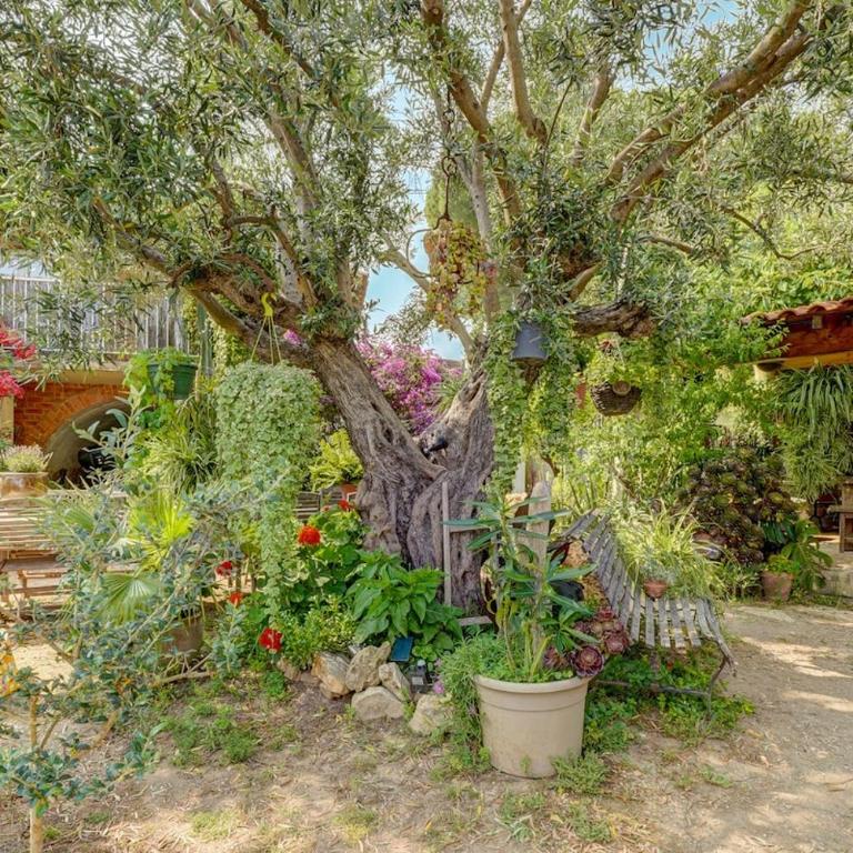 Charmant studio et jardin provencal à Saint-Cyr-sur-mer - Appartement 1 Chambre - 22