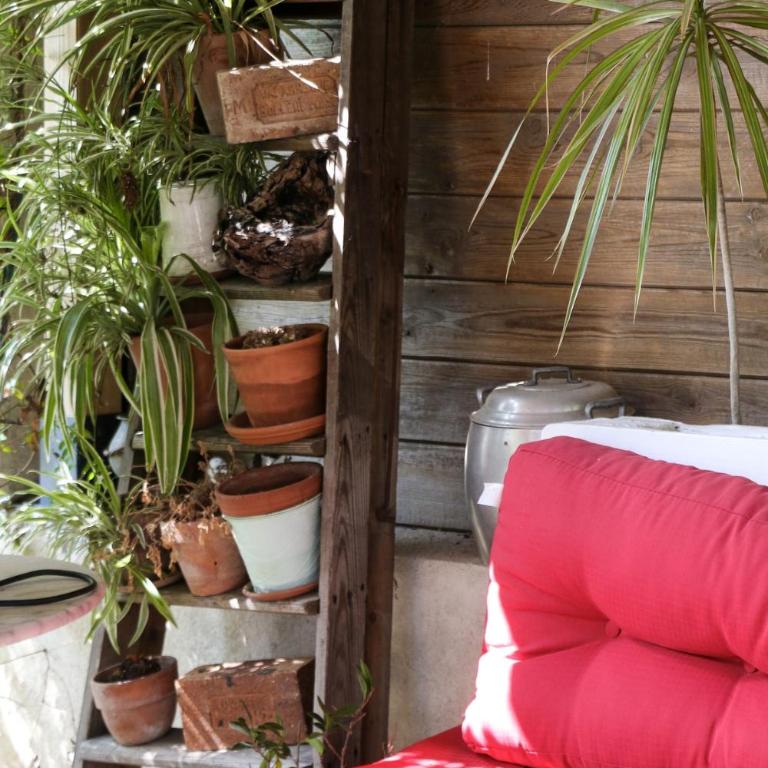 Charmant studio et jardin provencal à Saint-Cyr-sur-mer - Appartement 1 Chambre - 26