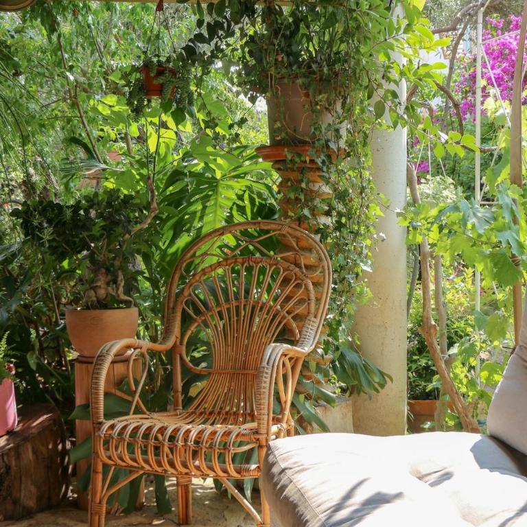 Charmant studio et jardin provencal à Saint-Cyr-sur-mer - Appartement 1 Chambre - 28