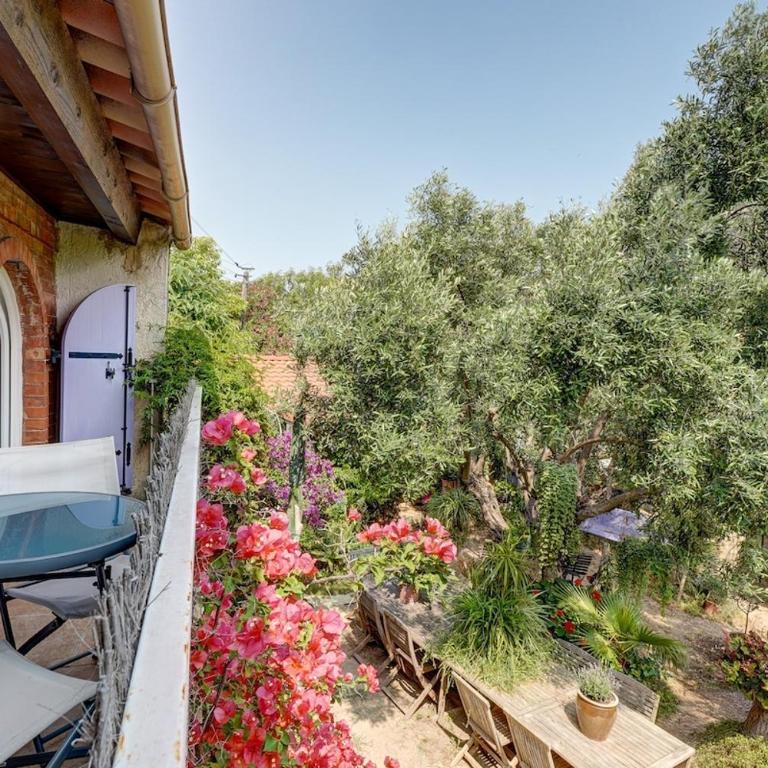 Charmant studio et jardin provencal à Saint-Cyr-sur-mer - Appartement 1 Chambre - 3