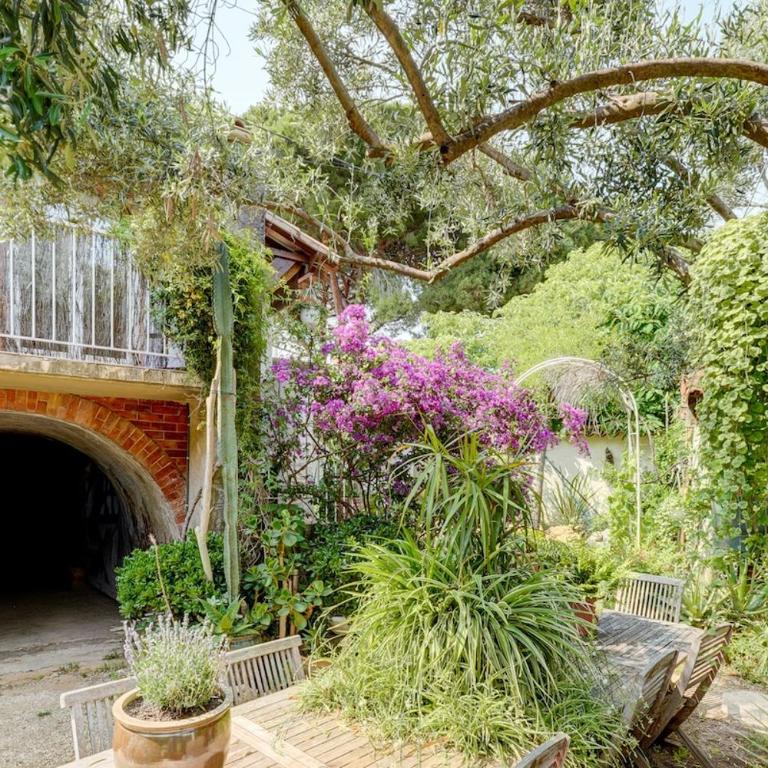 Charmant studio et jardin provencal à Saint-Cyr-sur-mer - Appartement 1 Chambre - 48