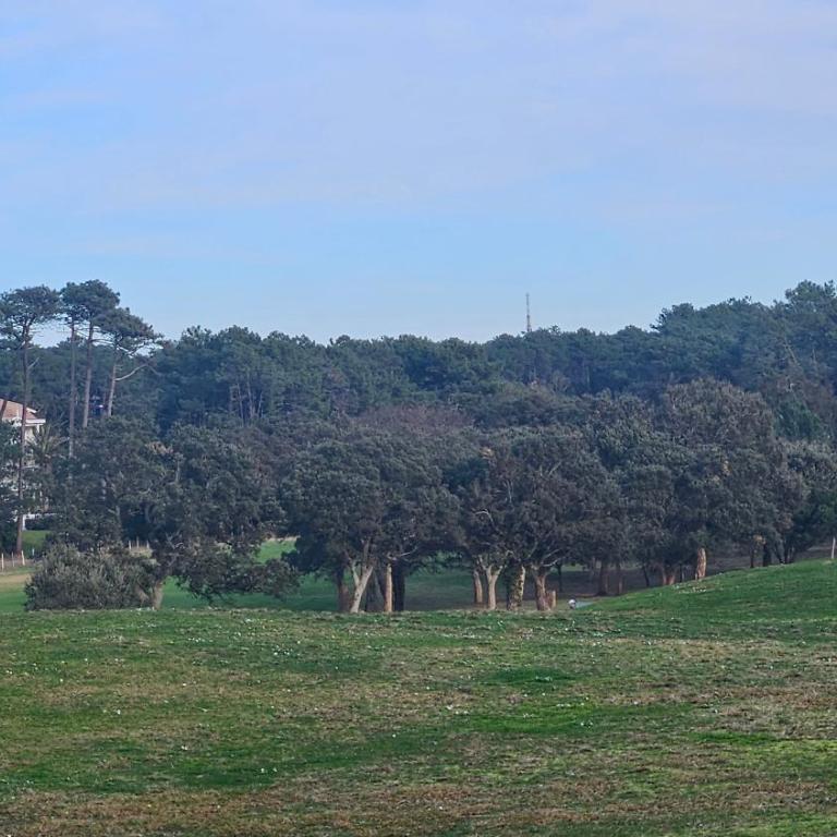 Entre Foret et Ocean - Two-Bedroom Deluxe Apartment with Garden View - 35