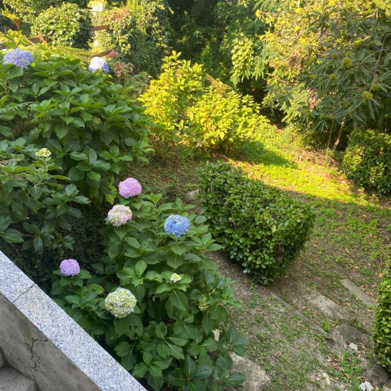 Bellagio Panorama - lake view - Three-Bedroom Apartment - 38
