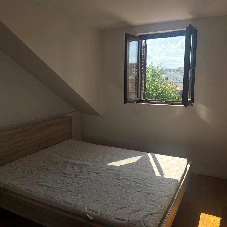 Creative Attic with Terrace & Garden -Podgorica - Apartman sa 1 Spavaćom Sobom - 4