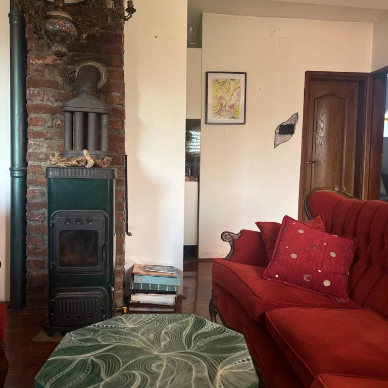 Creative Attic with Terrace & Garden -Podgorica - Apartman sa 1 Spavaćom Sobom - 28