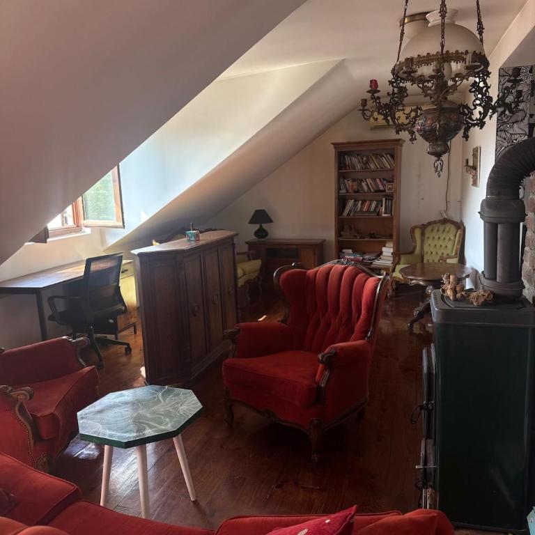 Creative Attic with Terrace & Garden -Podgorica - Apartman sa 1 Spavaćom Sobom - 29