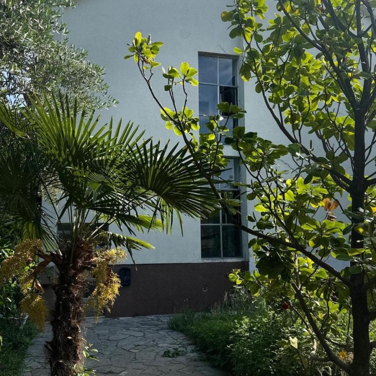 Creative Attic with Terrace & Garden -Podgorica - Apartman sa 1 Spavaćom Sobom - 33