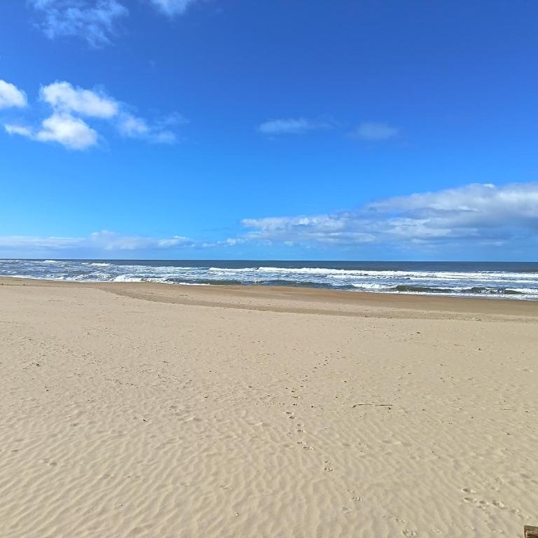 Apartamento en Punta del Este Peninsula - Apartamento - 4