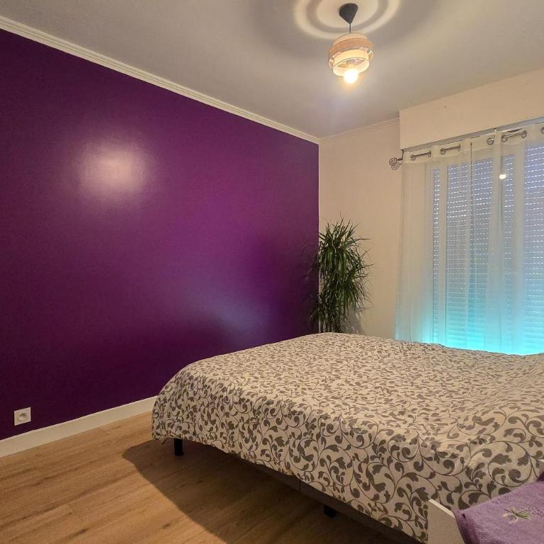Appt 4 pers promenade des anglais - Appartement - 22
