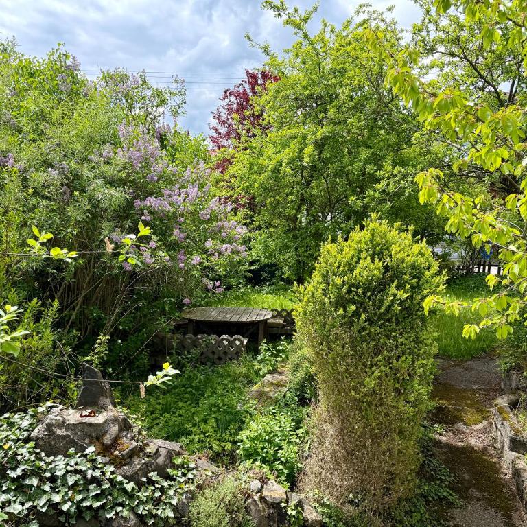 Ferienwohnung Griaß di Allgäu - Sauna - Balkon - Apartment mit 1 Schlafzimmer - 29