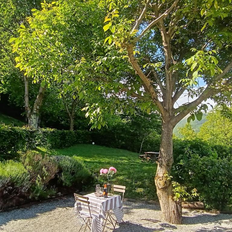 Chalet Nest - Casa Vacanze - 2