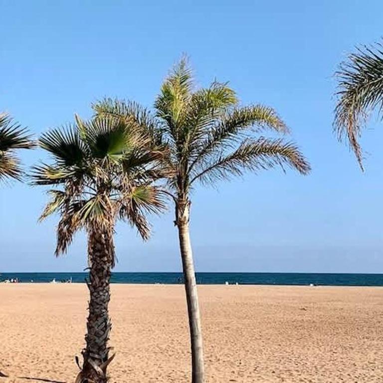 Appartement de charme les pieds dans leau - Apartamento - 17