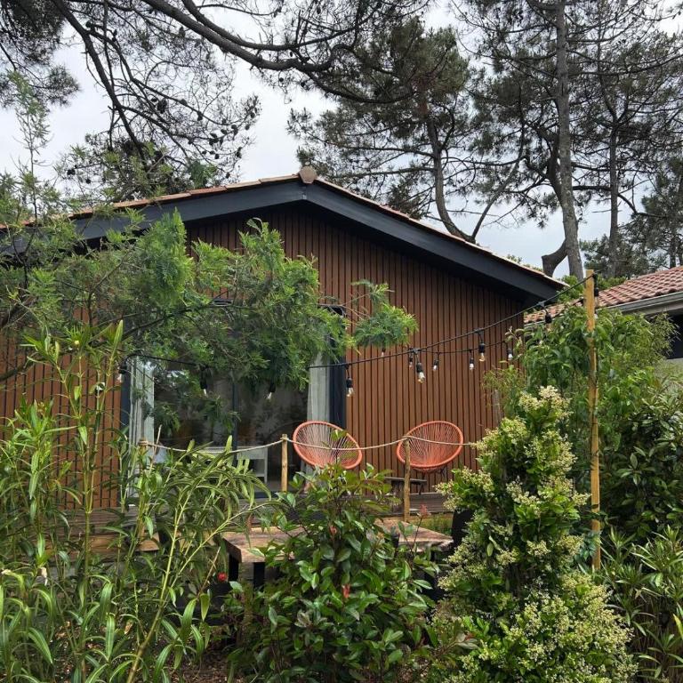 la cabane de la plage au milieu des pins parking privé 300m de la plage - Studio - 1