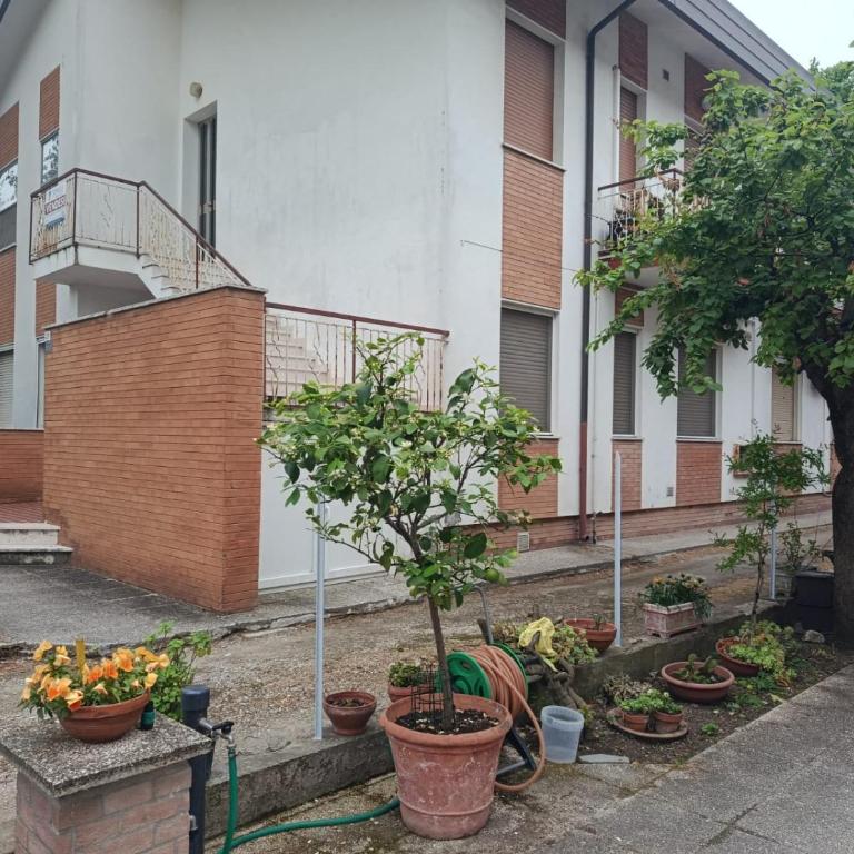 L'appartamentino del Doc - Appartamento con 1 Camera da Letto - 4