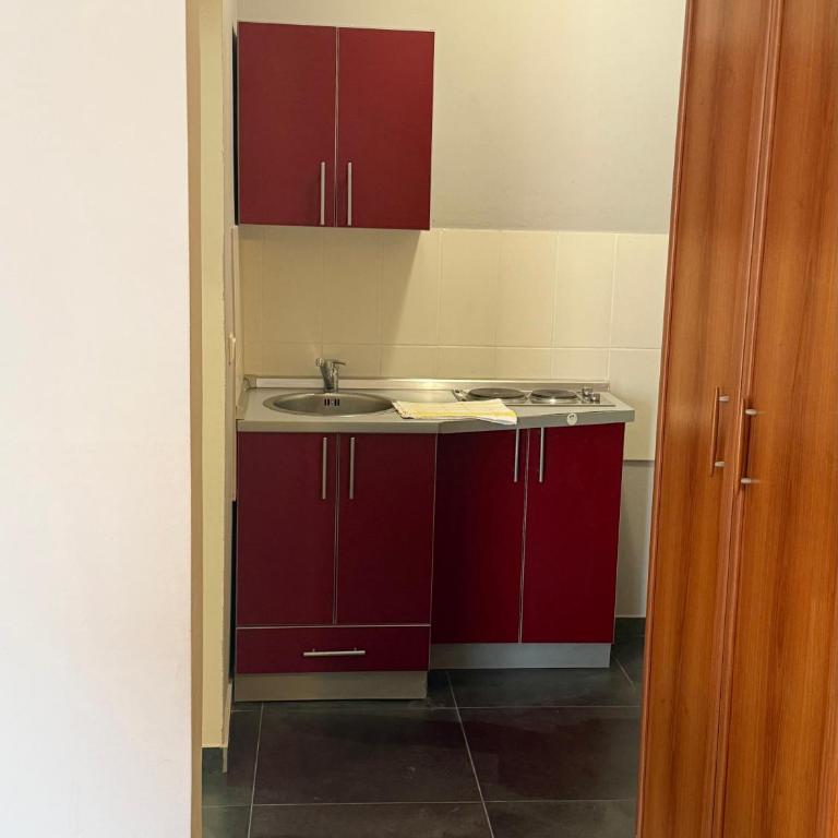Adzic apartments 2 - Standard Studio - 16