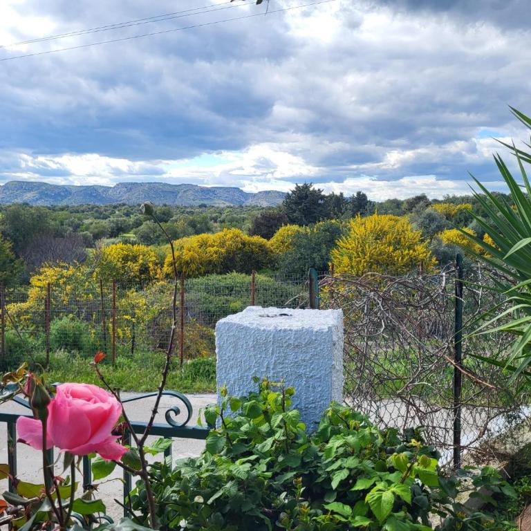 Villa Chicca - Villa con Vista Giardino - 39