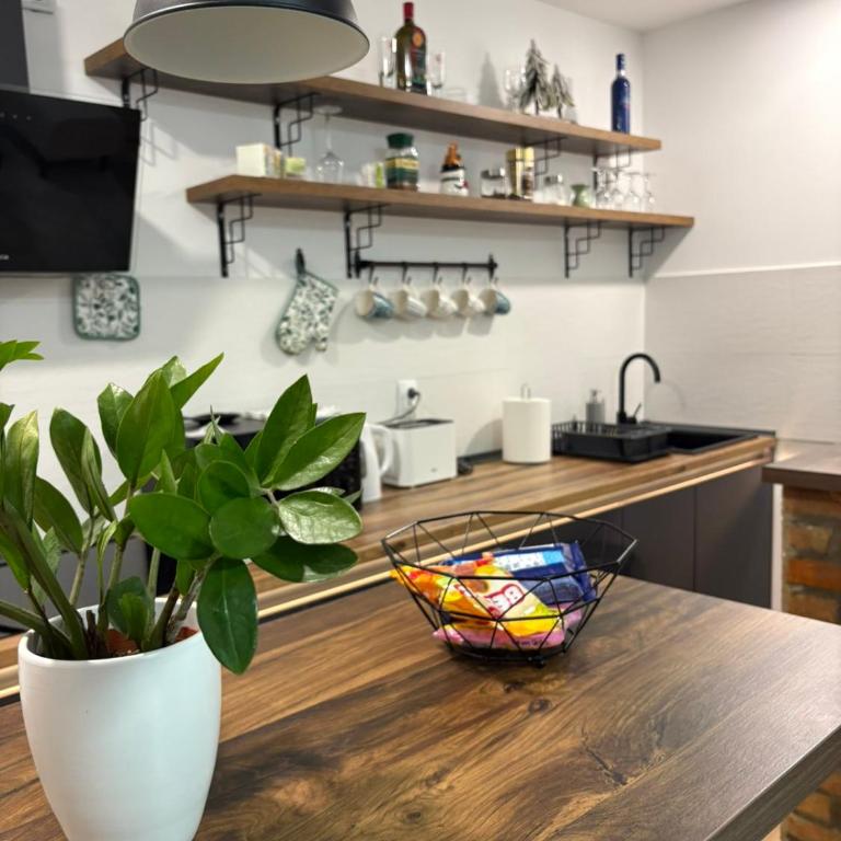 Vila Pogled - Apartman sa 2 Spavaće Sobe - 9