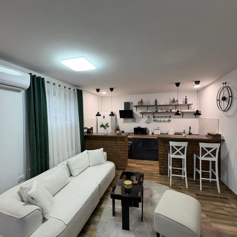 Vila Pogled - Apartman sa 2 Spavaće Sobe - 3
